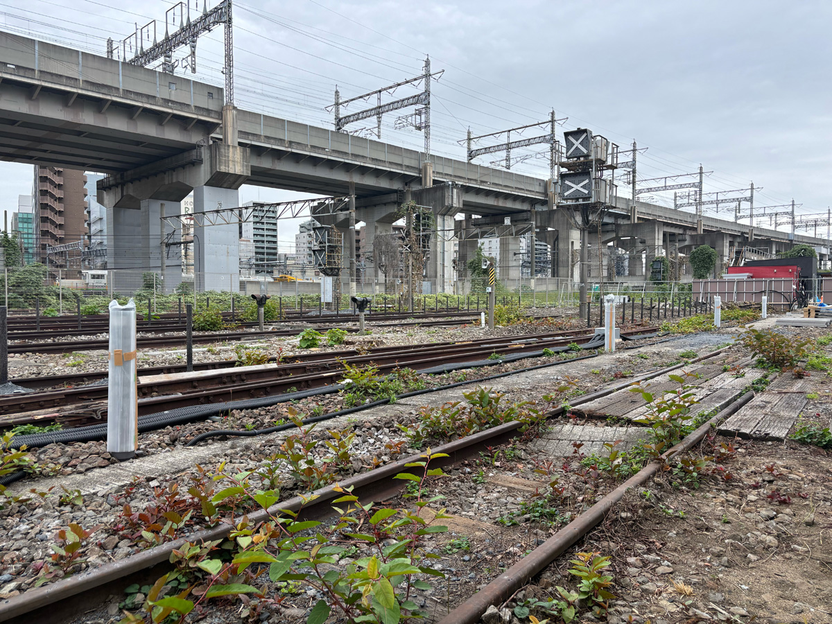 キャンプ練習場 campass 大宮