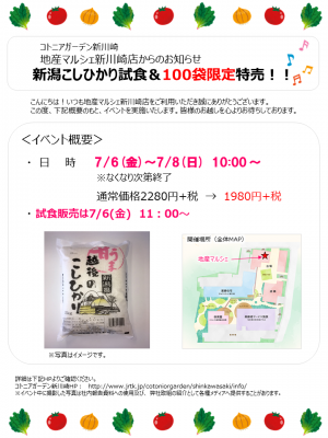 ★七夕イベントキャンペーン第2弾★　「新潟県産こしひかり」100袋限定　特売イベント実施＆試食販売　（地産マルシェ新川崎店）