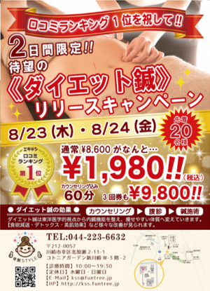 《ダイエット鍼》 リリースキャンペーン！！（骨盤STYLE　新川崎店）