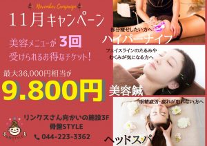 11月キャンペーン～美容メニューお得な情報～(骨盤STYLE　新川崎店)