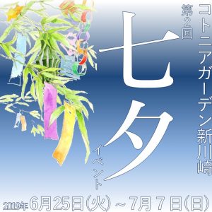 第二回　七夕イベントを実施しました♪♪
