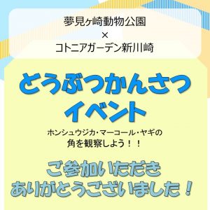 どうぶつかんさつイベント　ご参加ありがとうございました！