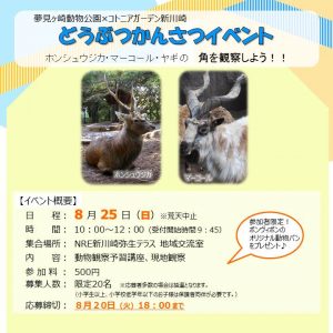 【参加者募集中】どうぶつかんさつイベントのご案内