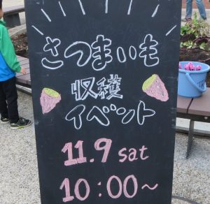 さつまいも収穫イベント　　ご参加ありがとうございました！