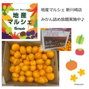 地産マルシェ みかん詰め放題実施中♪