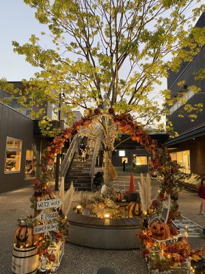 ハロウィンウィーク開催中♪