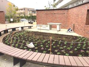 投票で決定したお花を植えました♪