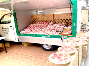 新鮮な桃がお買い得です♪　＜地産マルシェ＞