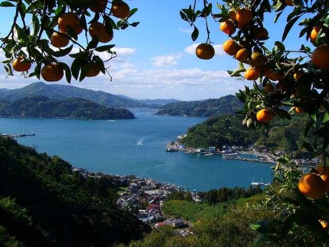 Q1、愛媛県、西宇和郡の伊方町ってどんなところ ?
