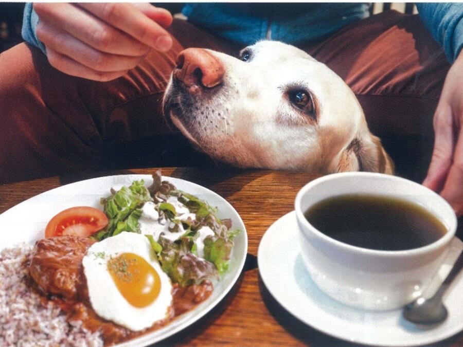 ドトールコーヒーショップ南与野駅店