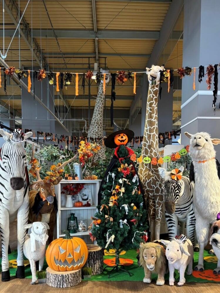 HALLOWEEN DAY