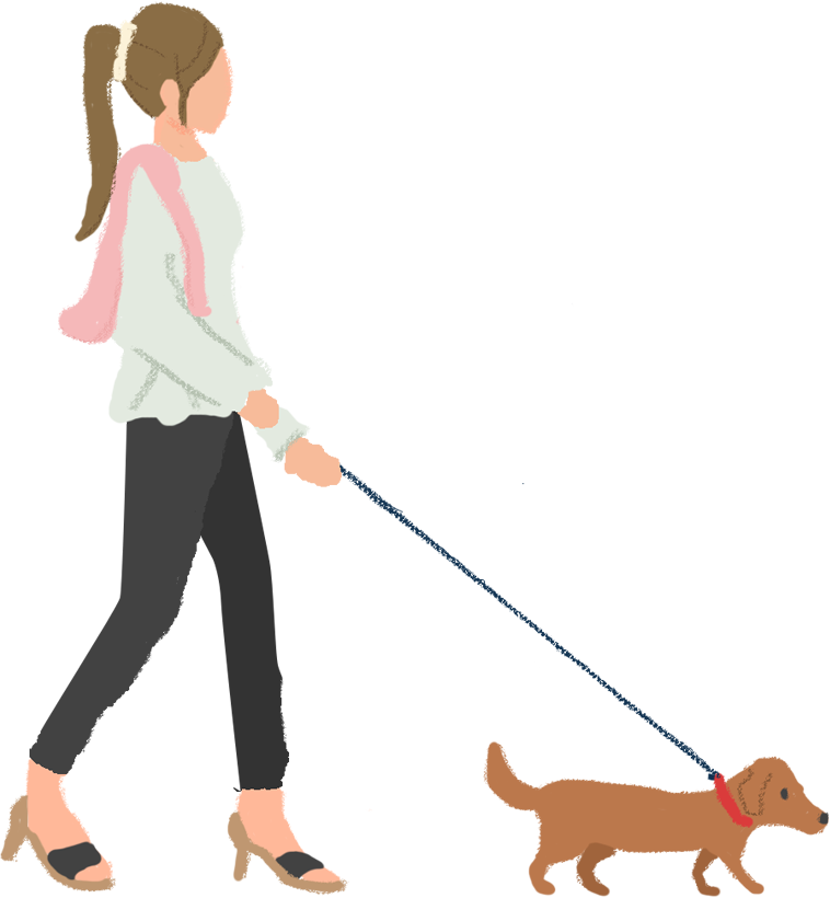 犬を散歩する女性