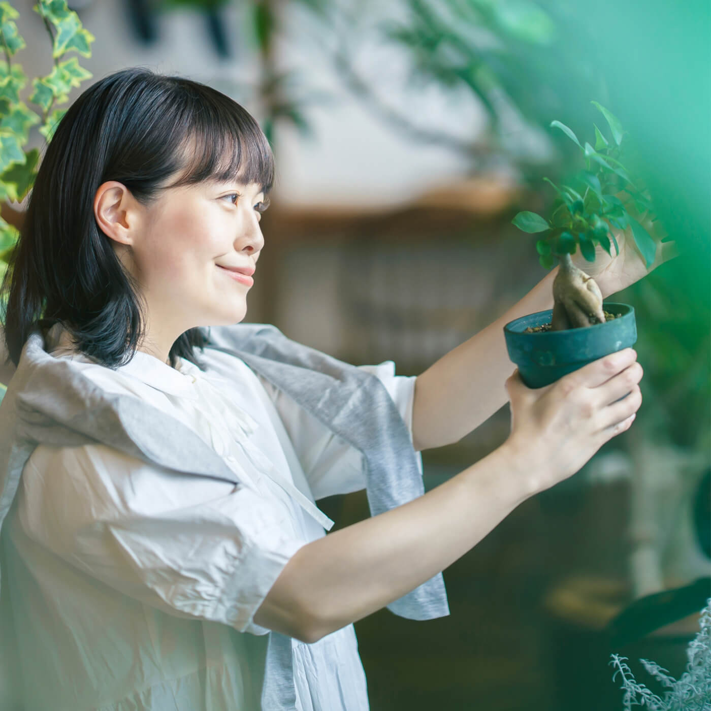 植物のある暮らし